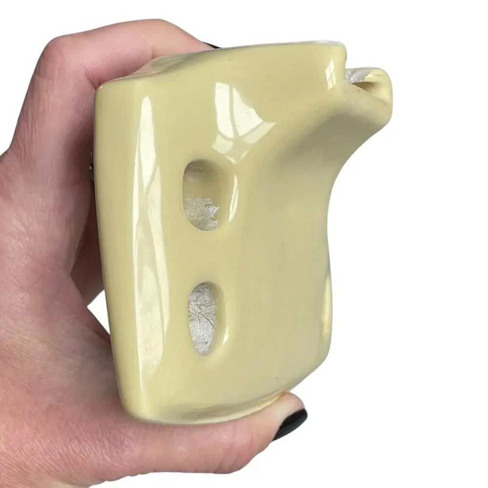 Vintage Porcelain Bathroom Fixtures Yellow Toothbrush Mount Toilet Paper MCM